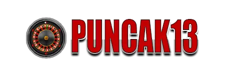 Logo PUNCAK13